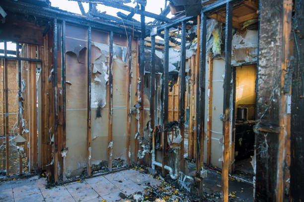 Professional Fire Damage Removal technician working in Green Cove Springs, FL